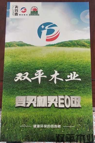 榮譽(yù)證書二(圖1)